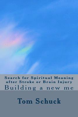 bokomslag Search for Spiritual Meaning after Stroke & Brain Injury: Building a new me