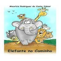 Elefante no Caminho 1