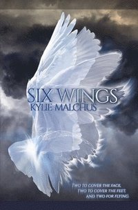 bokomslag Six Wings
