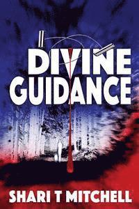 bokomslag Divine Guidance