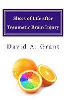 David A. Grant - Slices of Life after Traumatic Brain Injury, Häftad