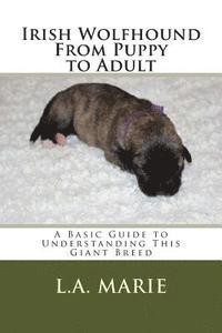 bokomslag Irish Wolfhound From Puppy to Adult: A Basic Guide to Understanding This Giant Breed