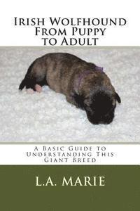 L. a. Marie - Irish Wolfhound From Puppy to Adult: A Basic Guide to Understanding This Giant Breed, Häftad