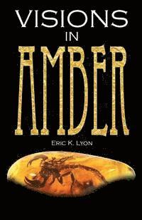 bokomslag Visions in Amber