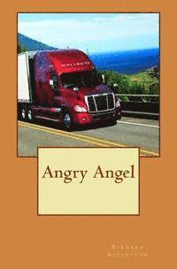 bokomslag Angry Angel