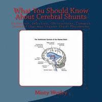 What You Should Know About Cerebral Shunts: Definition, Infection, Obstructions, Common Diseases that may require Shunt Placements 1