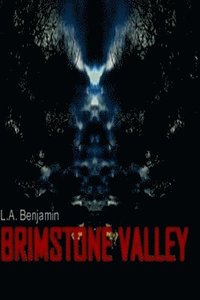 bokomslag Brimstone Valley