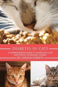 bokomslag Diabetes in Cats: A Comprehensive Guide to Diabetes in Cats