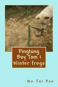 bokomslag Pingtung Boy Tom 1: Winter frogs