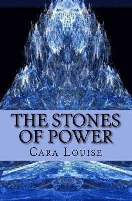 bokomslag The Stones of Power: The 2nd in The Beast of Biddersley Grange Trilogy