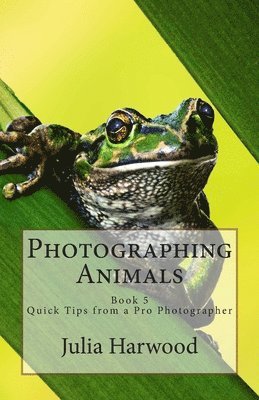 bokomslag Photographing Animals: Book 5