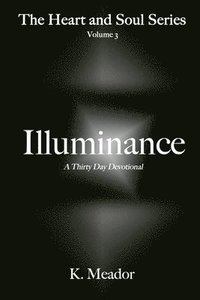 bokomslag Illuminance