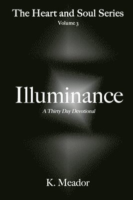 bokomslag Illuminance