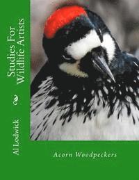 bokomslag Acorn Woodpeckers: Studies For Wildlife Artists