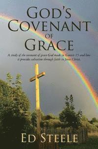 bokomslag God's Covenant of Grace: A study of the covenant of grace God made in Genesis 15 and how it provides salvation through faith in Jesus Christ.