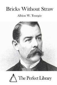Albion W. Tourgee, The Perfect Library - Bricks Without Straw, Häftad