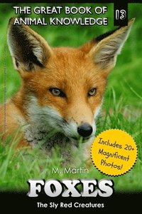 bokomslag Foxes