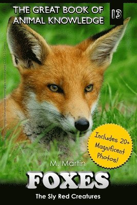 bokomslag Foxes