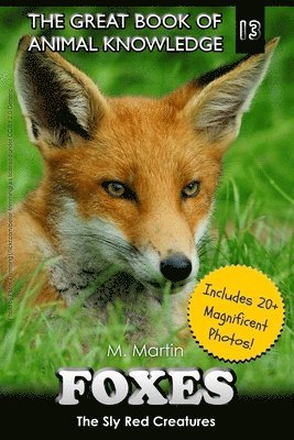 Foxes: The Sly Red Creatures 1