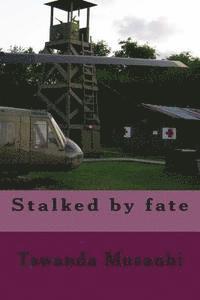 bokomslag Stalked by fate