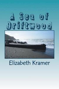 bokomslag A Sea of Driftwood