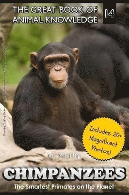 bokomslag Chimpanzees