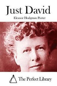 Eleanor Hodgman Porter, The Perfect Library - Just David, Häftad