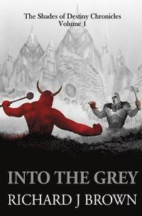 bokomslag Into The Grey by Richard J Brown