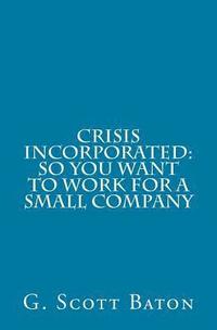 bokomslag Crisis Incorporated: So You Want to Work for a Small Company