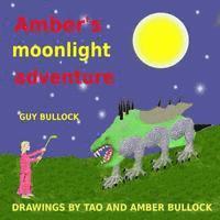 bokomslag Amber's moonlight adventure
