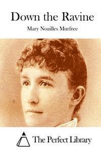 Mary Noailles Murfree, The Perfect Library - Down the Ravine, Häftad