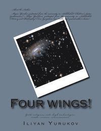 bokomslag Four wings!: Gold, religious cult, high technologies, estate, science, consciousness.