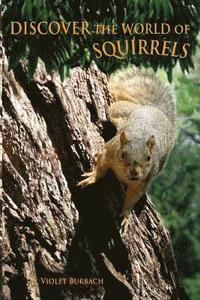 bokomslag Discover the World of Squirrels: Illustrated Kids Book With Fun Facts About Squirrels And Builds Kids Vocabulary