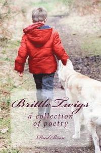 bokomslag Brittle Twigs: a collection of poetry