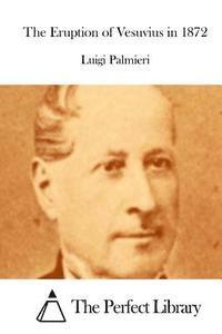 bokomslag The Eruption of Vesuvius in 1872