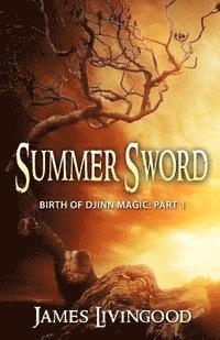 bokomslag Summer Sword