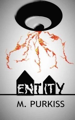 Entity 1