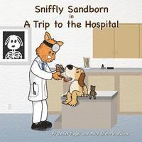 bokomslag Sniffly Sandborn: in A Trip to the Hospital
