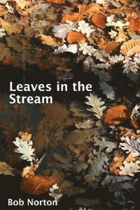bokomslag Leaves in the Stream