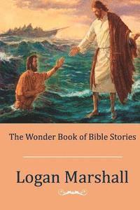 bokomslag The Wonder Book of Bible Stories