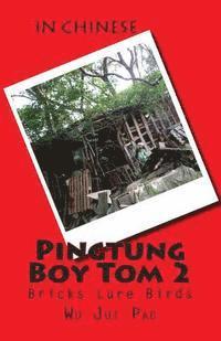 bokomslag Pingtung Boy Tom 2: Bricks Lure Birds