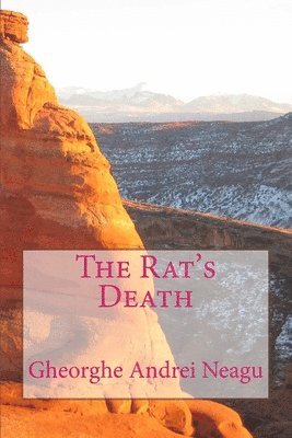 bokomslag The Rat's Death