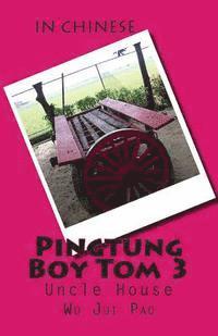 bokomslag Pingtung Boy Tom 3: Uncle House