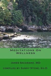 bokomslag Meditations On Wellness: Coming Back To Wholeness