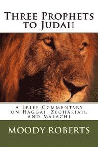 bokomslag Three Prophets to Judah: A Brief Commentary on Haggai, Zechariah, and Malachi