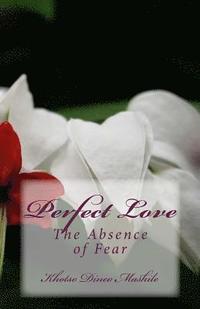 bokomslag Perfect Love: The Absence of Fear
