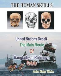bokomslag The Human Skulls: United Nations Deceit