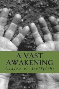 A Vast Awakening 1