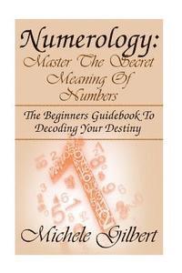 bokomslag Numerology: Master The Secret Meaning Of Numbers: : The Beginners Guidebook To Decoding Your Destiny