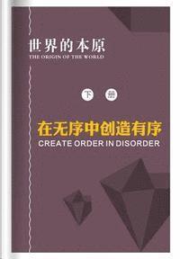 bokomslag Create Order in Disorder